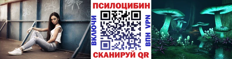 hydra как войти  Кунгур  darknet наркотические препараты  Галлюциногенные грибы прущие грибы 